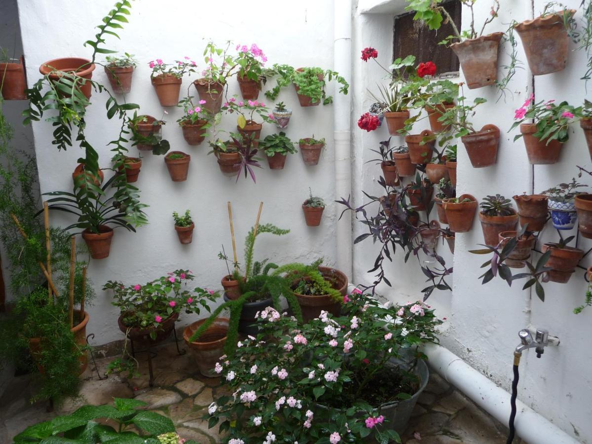 Willa Casa Sol Vejer de la Frontera Zewnętrze zdjęcie